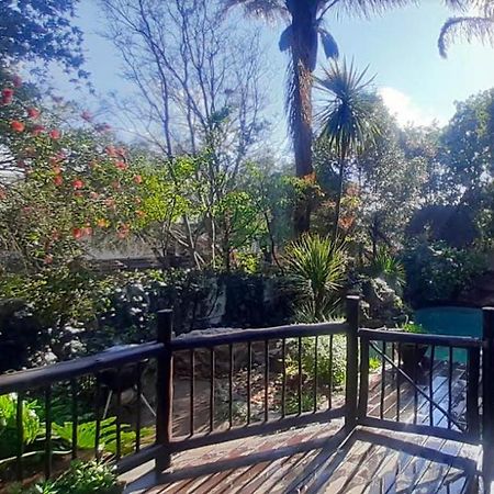 Pantera Lodge & Cheetah Cottage Johannesburg Dış mekan fotoğraf