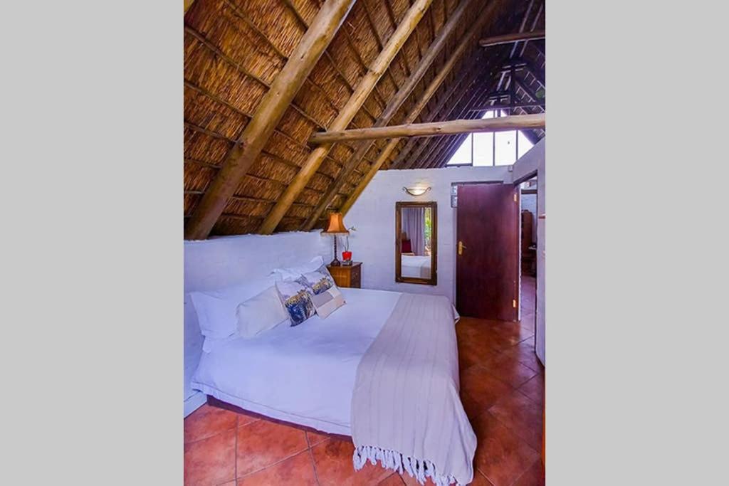 Pantera Lodge & Cheetah Cottage Johannesburg Dış mekan fotoğraf