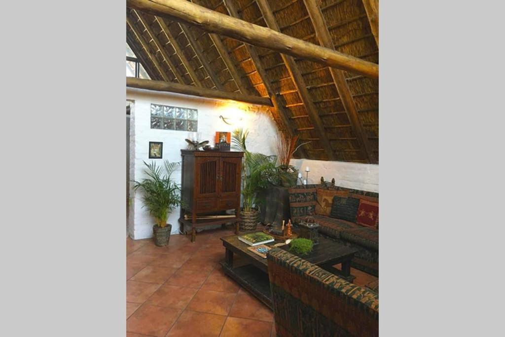 Pantera Lodge & Cheetah Cottage Johannesburg Dış mekan fotoğraf