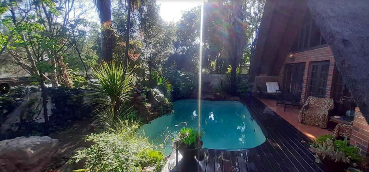 Pantera Lodge & Cheetah Cottage Johannesburg Dış mekan fotoğraf