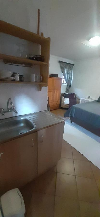 Pantera Lodge & Cheetah Cottage Johannesburg Dış mekan fotoğraf