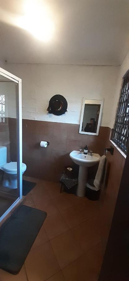 Pantera Lodge & Cheetah Cottage Johannesburg Dış mekan fotoğraf